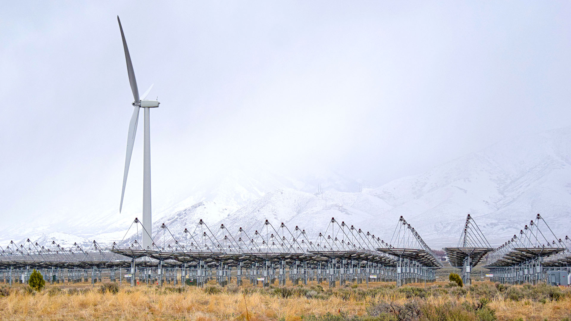 wind turbine and solar array