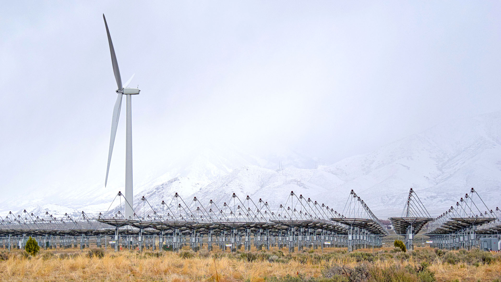 wind turbine and solar array