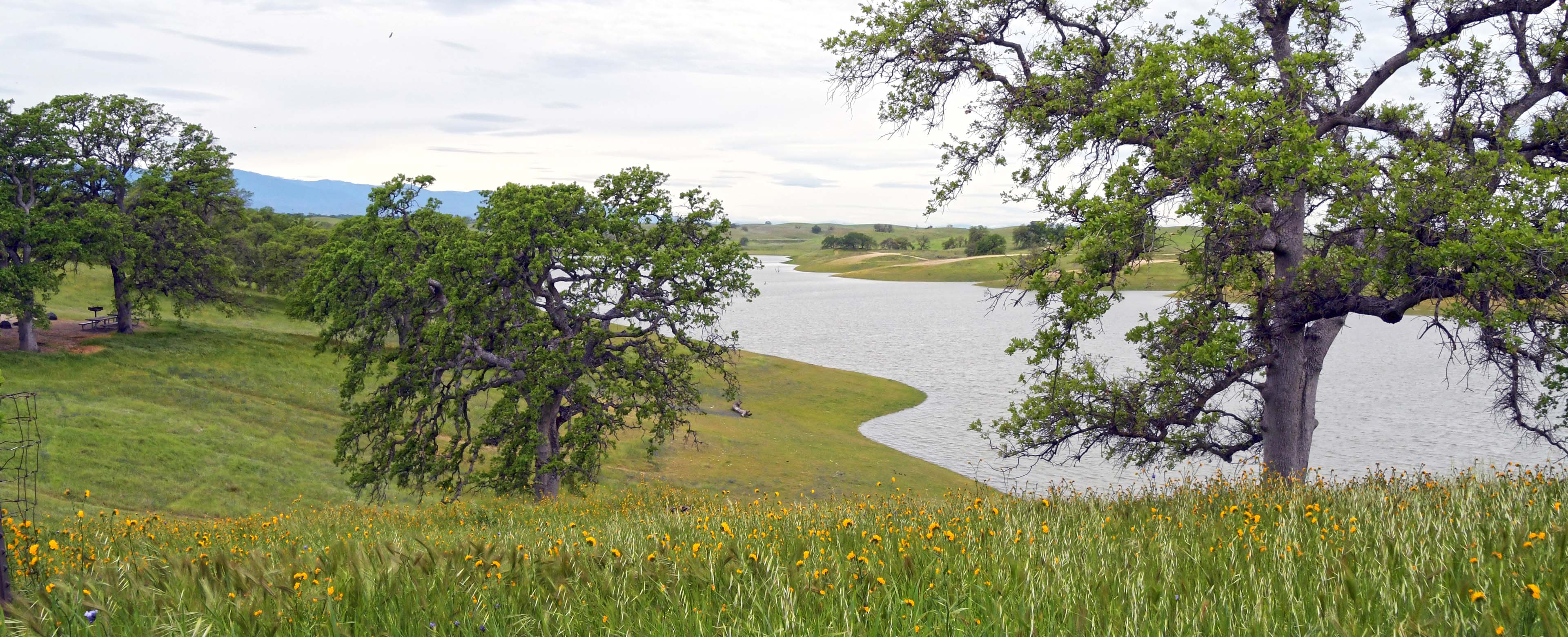 Black Butte Lake