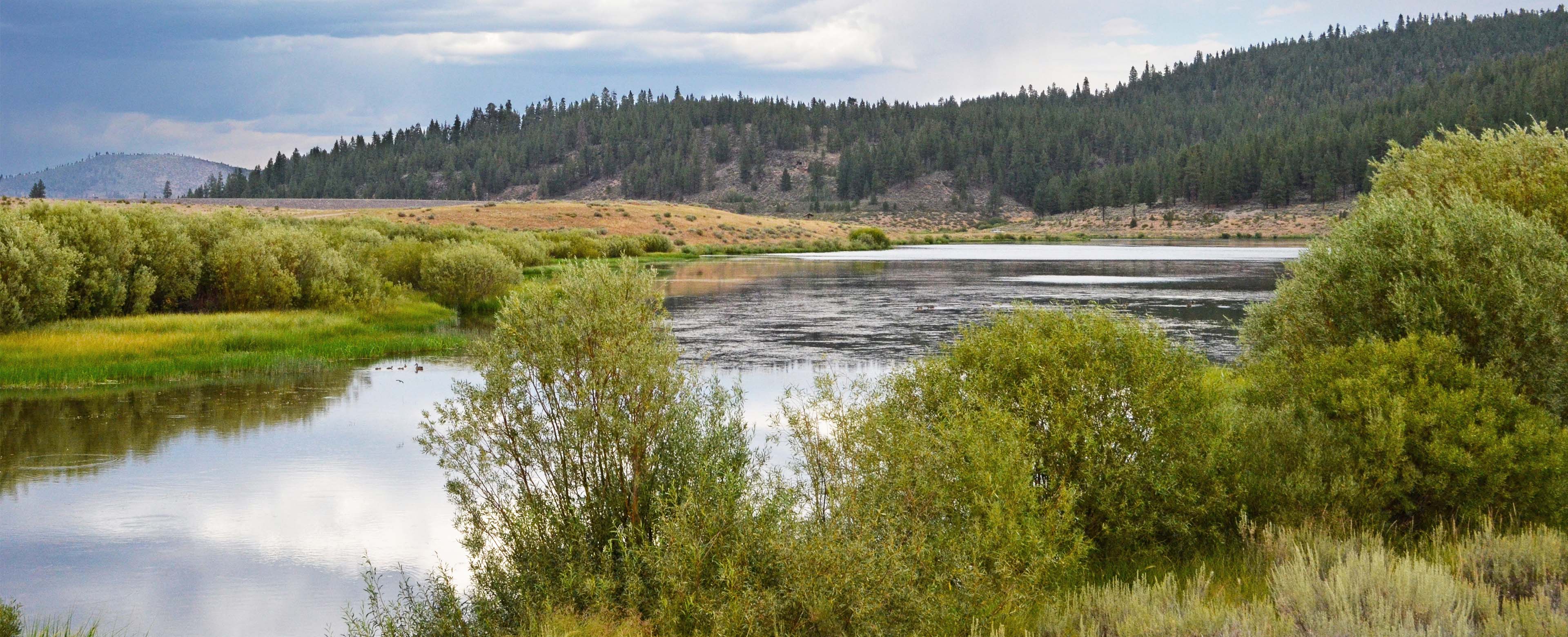 Martis Creek Lake