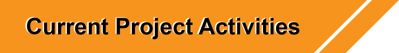 Section - Current Project Activities