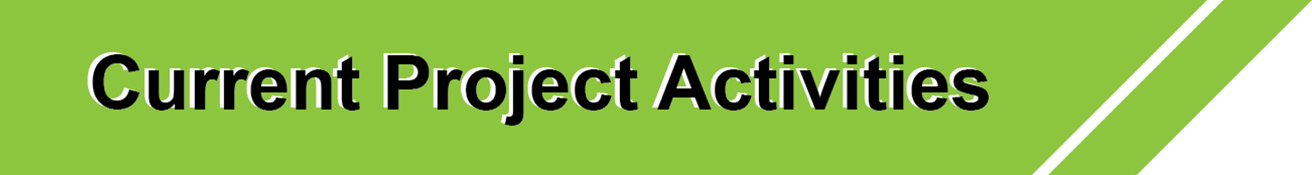 Section - Current Project Activities