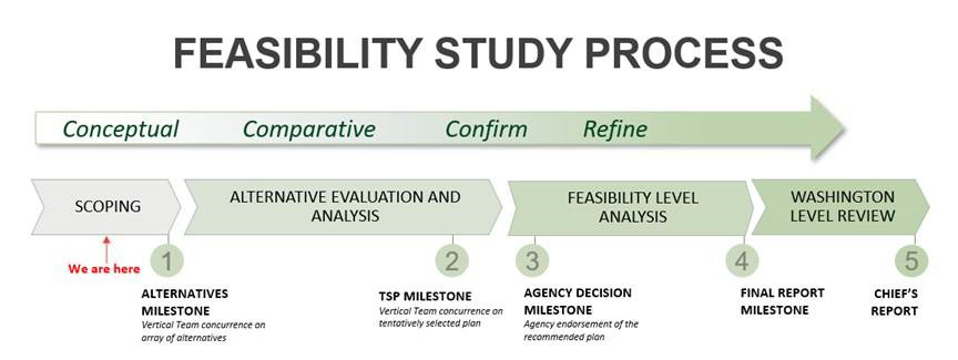 graphic showing the feasibility study process