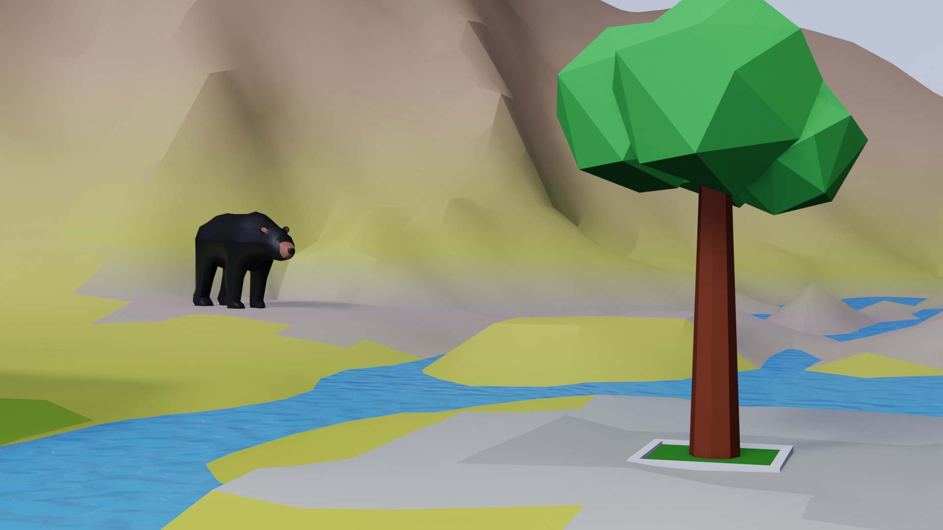 Biodiversity